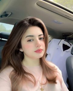 escorts in Regent Plaza Hotel Karachi